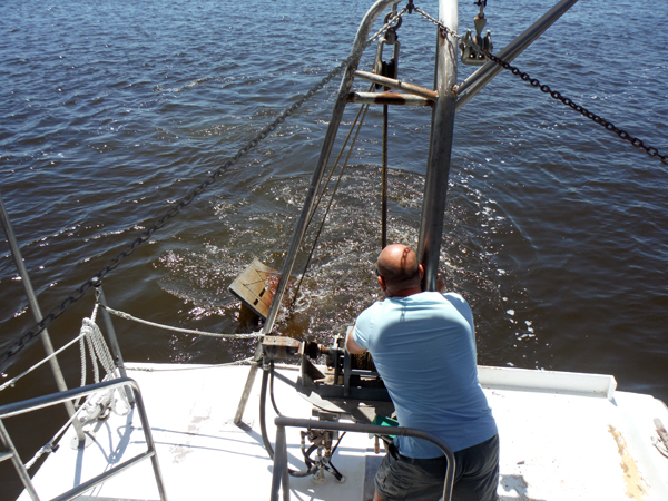 putting out the net